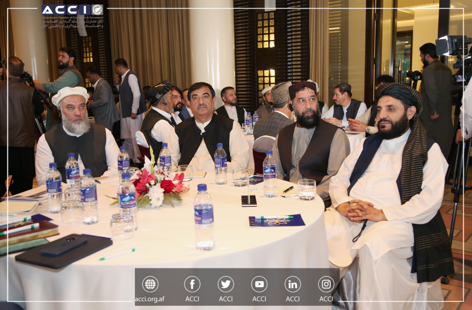 Business-to-Business (B2B) Meeting Between the Private Sectors of Afghanistan and Tatarstan Held